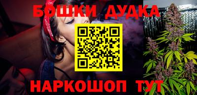 индика Владикавказ