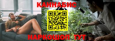 индика Владикавказ