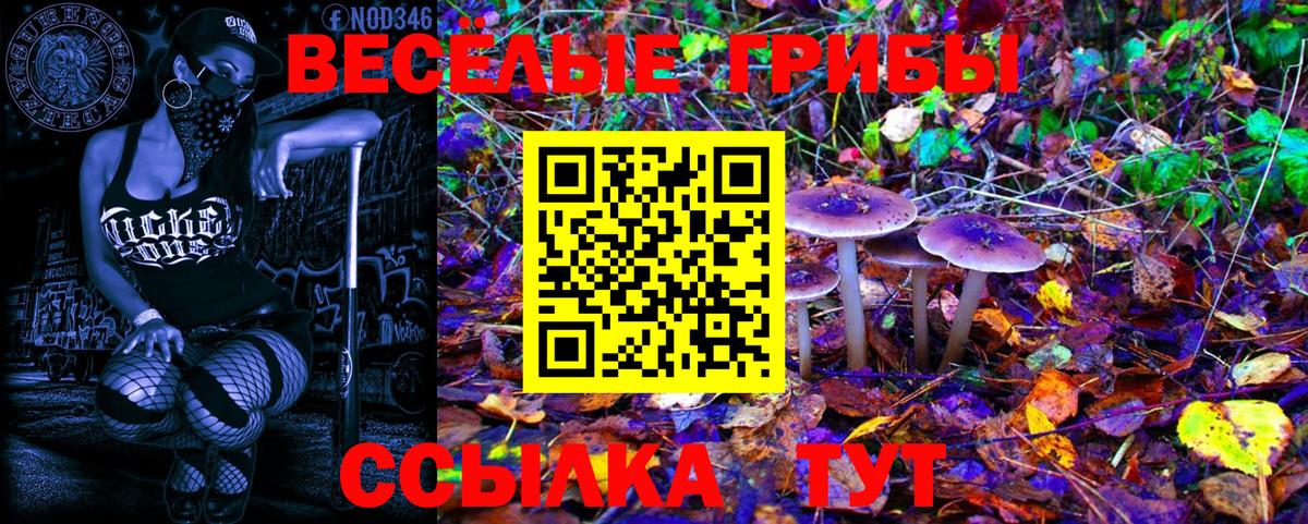 Муром  Галлюциногенные грибы Psilocybine cubensis  Вход с VPN 